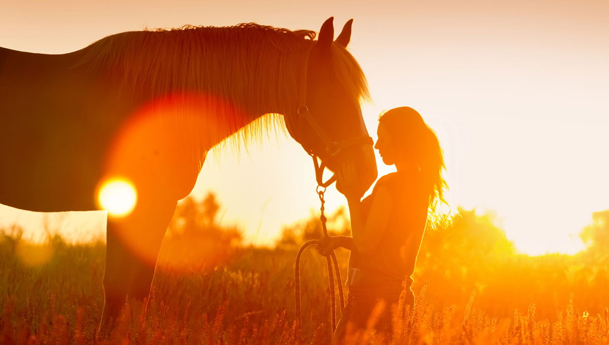 woman-horse-sunset